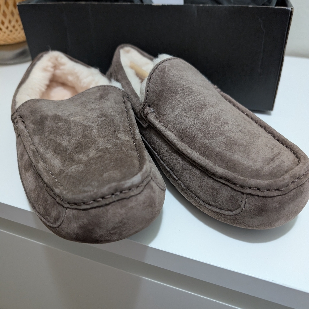 UGG for Men Ascot Slippers, brown ,Size 7